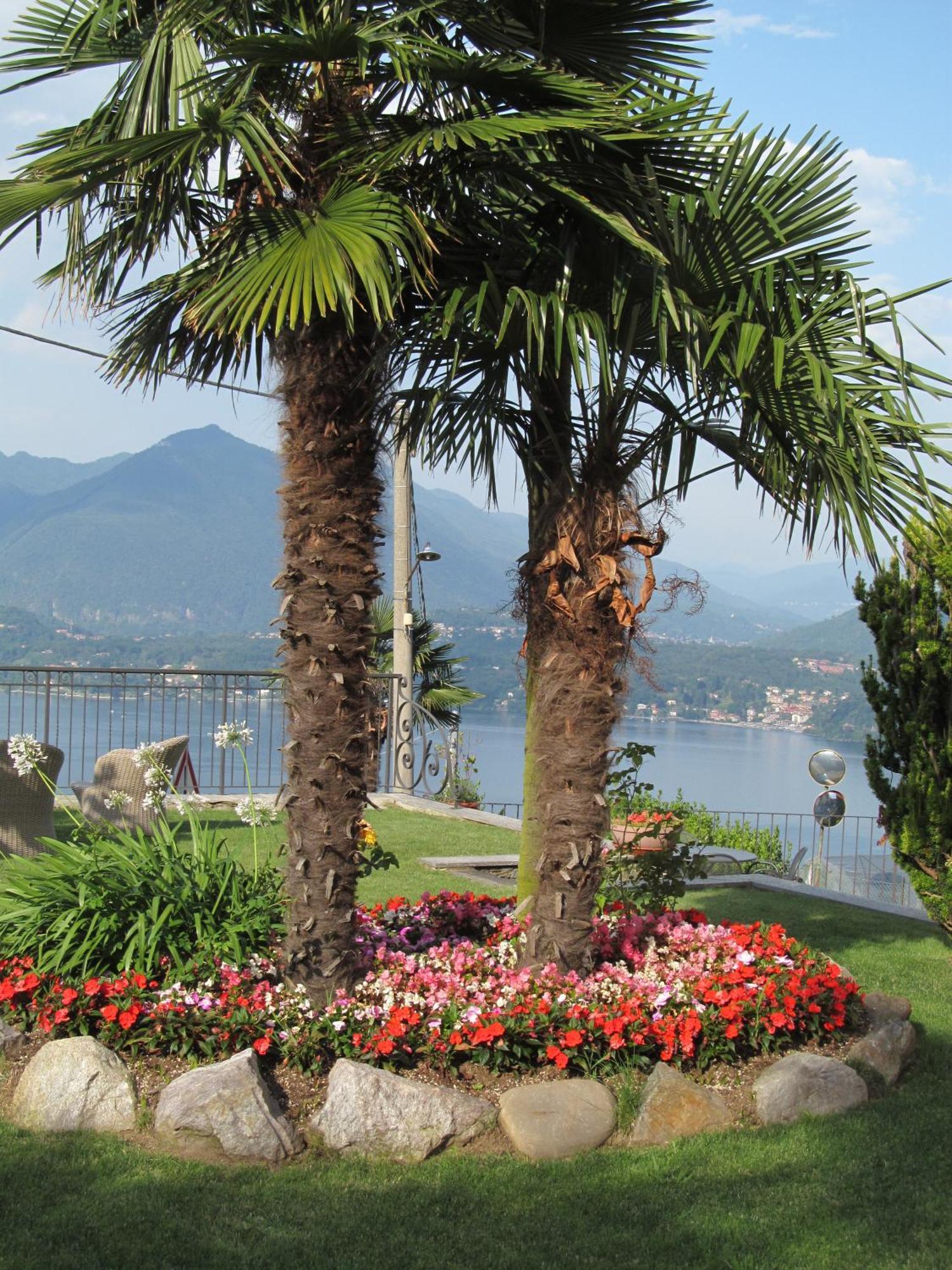 Hotel Brisino Stresa Exterior photo